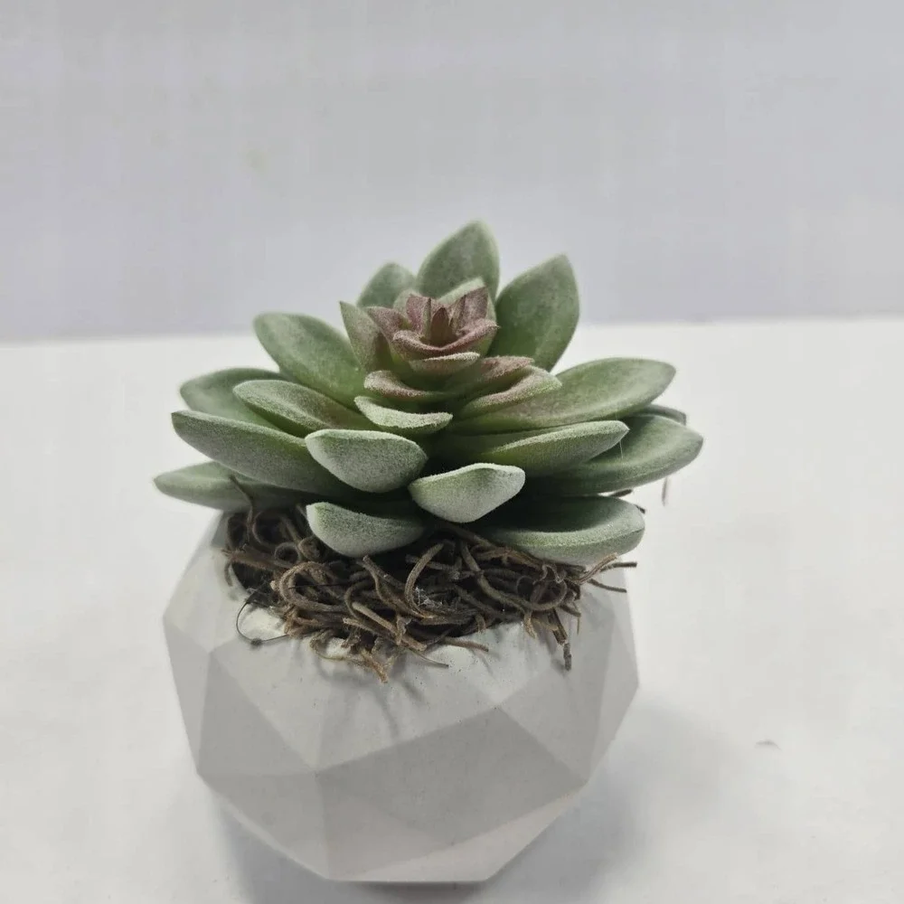 N/A handmade faux